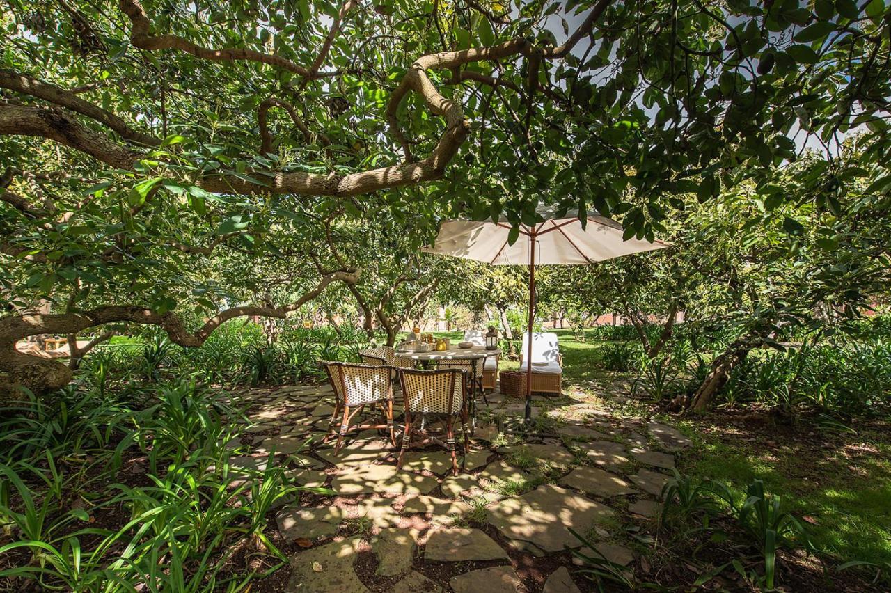 Homeforguest Rural House With Garden El Laurel กาโกรอนเต ภายนอก รูปภาพ