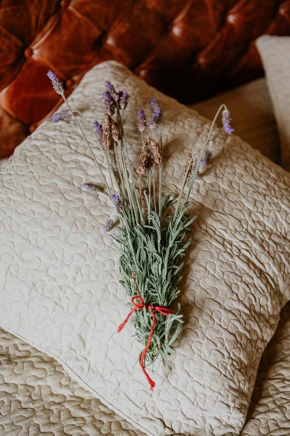 Homeforguest Rural House With Garden El Laurel กาโกรอนเต ภายนอก รูปภาพ