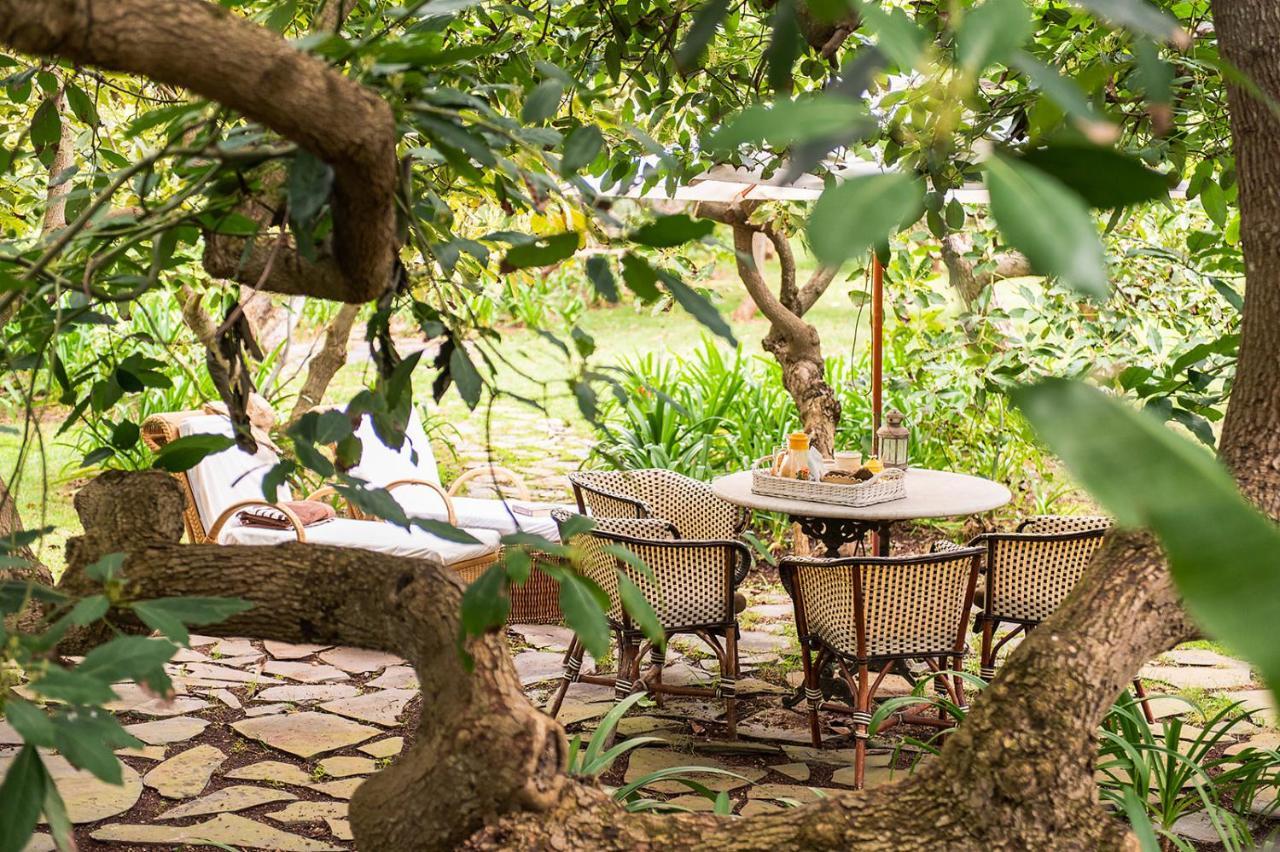 Homeforguest Rural House With Garden El Laurel กาโกรอนเต ภายนอก รูปภาพ