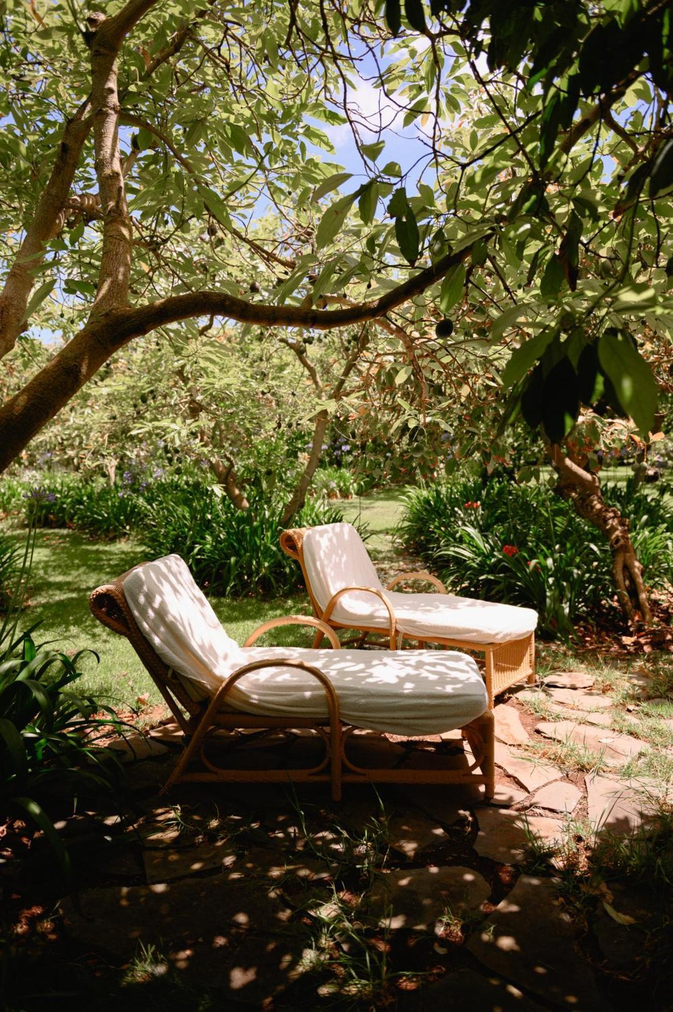 Homeforguest Rural House With Garden El Laurel กาโกรอนเต ภายนอก รูปภาพ